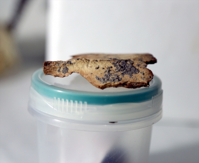 Direkli Mağarası'nda Üst Paleolitik döneme ait taştan dilgi bulundu